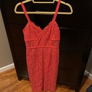 Express lace Dress